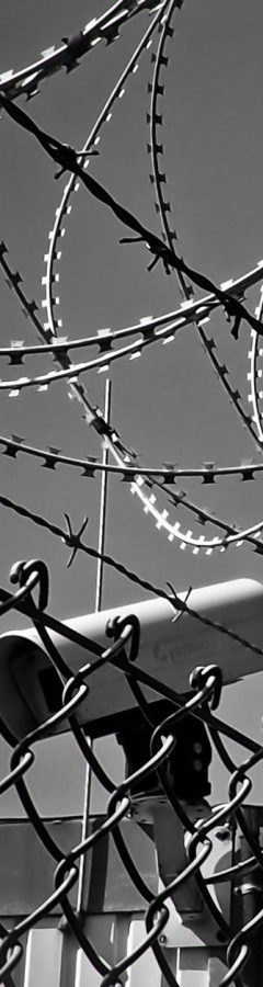abstract-barbed-wire-black-white-black-and-white-274886
